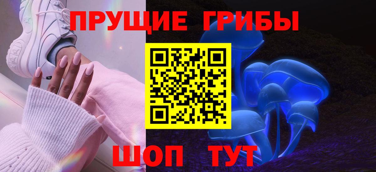 Псилоцибиновые грибы прущие грибы Гусиноозёрск