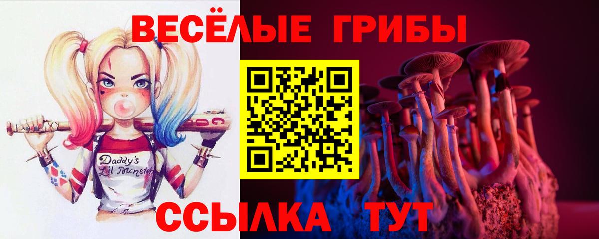 Псилоцибиновые грибы прущие грибы  Вход с VPN  Гусиноозёрск 